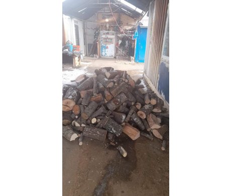 Foto: Medija centar Čaglavica